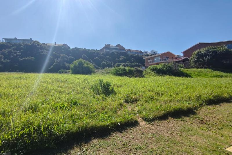 0 Bedroom Property for Sale in Outeniqua Strand Western Cape